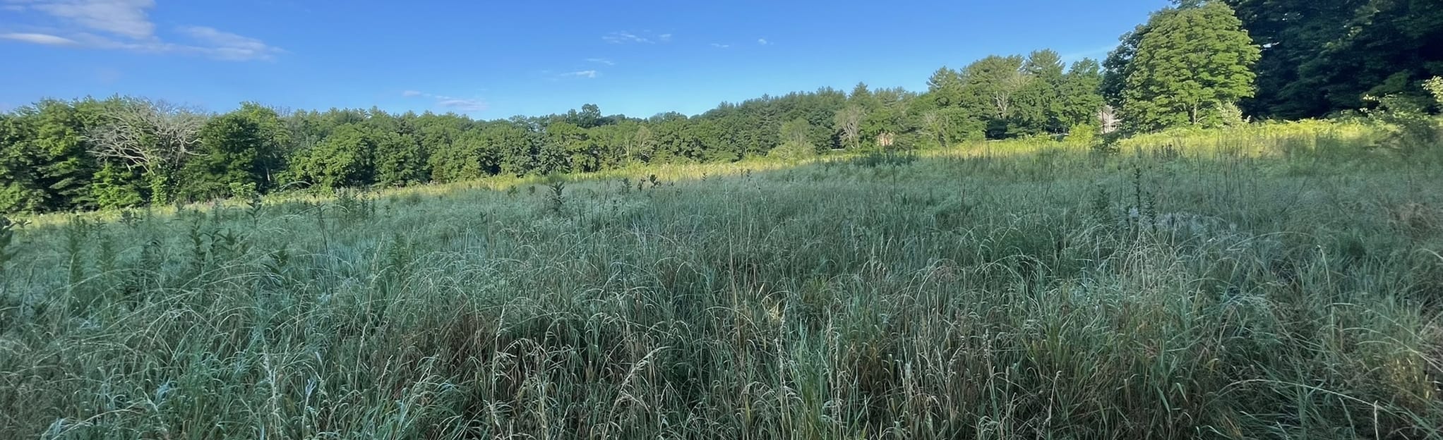 Burnt Swamp Trail , Massachusetts 343 Reviews, Map AllTrails