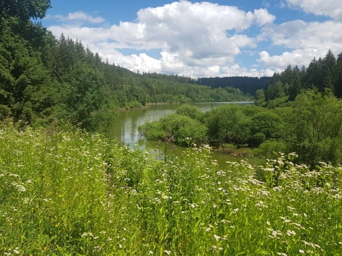 Schwarzenbach Talsperre und Herrenwieser See