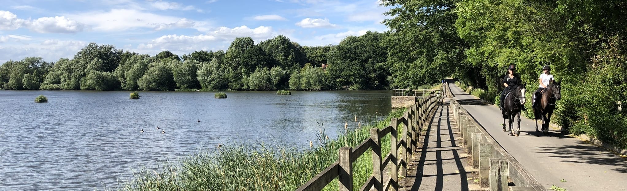 Shipley Country Park and Woodside Nature Reserve Map, Guide