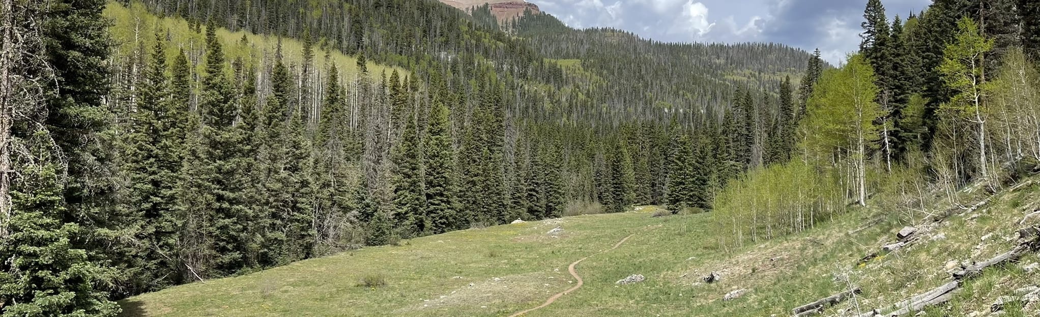 Cascade Creek East Fork 535 Reviews, Map Colorado AllTrails