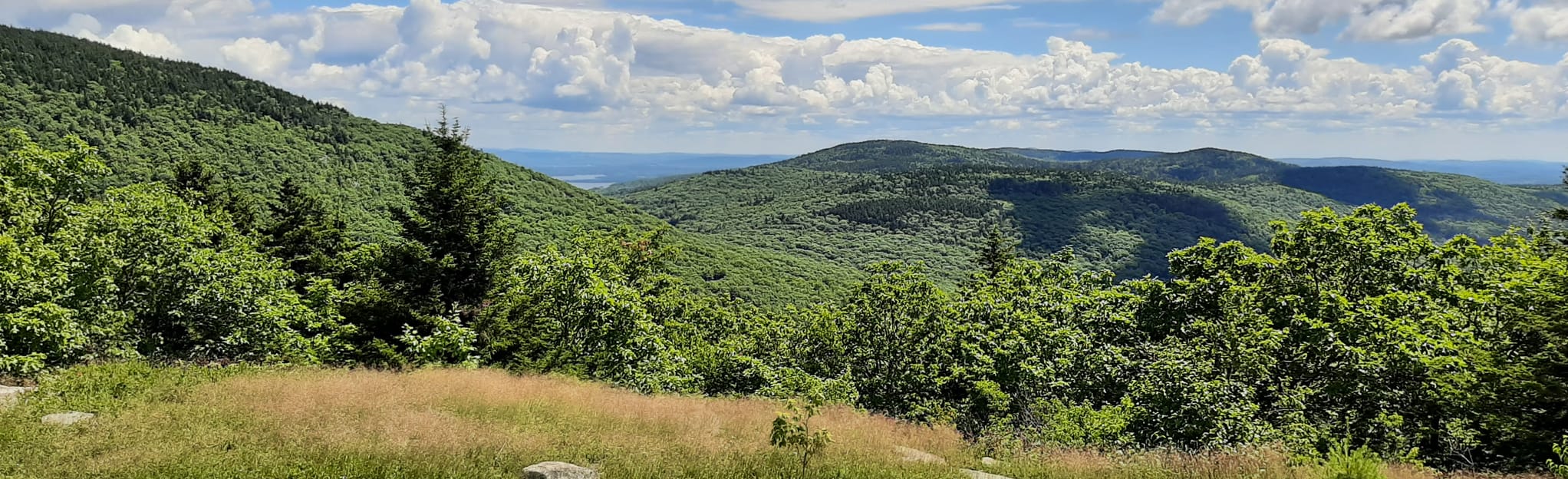 Piper, Belknap and Gunstock Loop New Hampshire AllTrails
