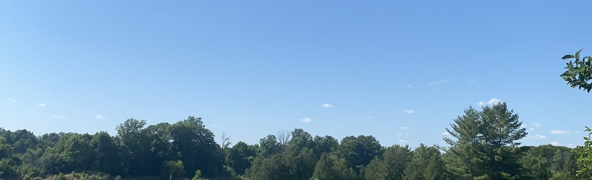 Snyder's Flats South Loop, Ontario, Canada 49 Reviews, Map AllTrails