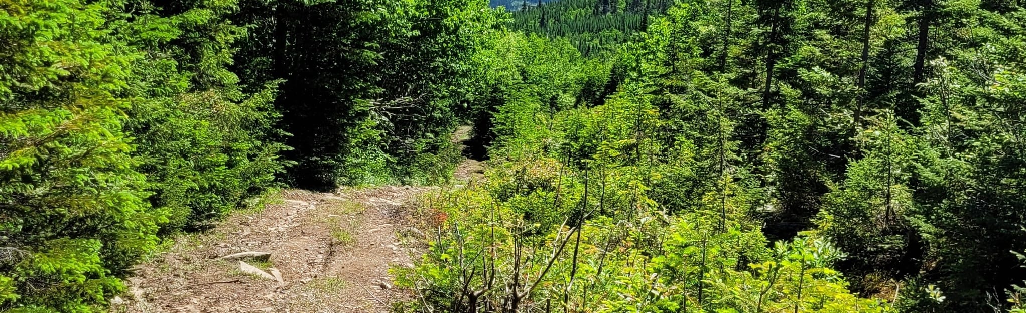 Monte à Peine Zec Baie des Sables, Quebec, Canada 83 Reviews, Map