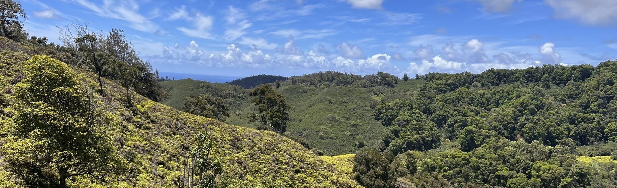 Pupukea Summit Trail: 113 Reviews, Map - Oahu, Hawaii | AllTrails