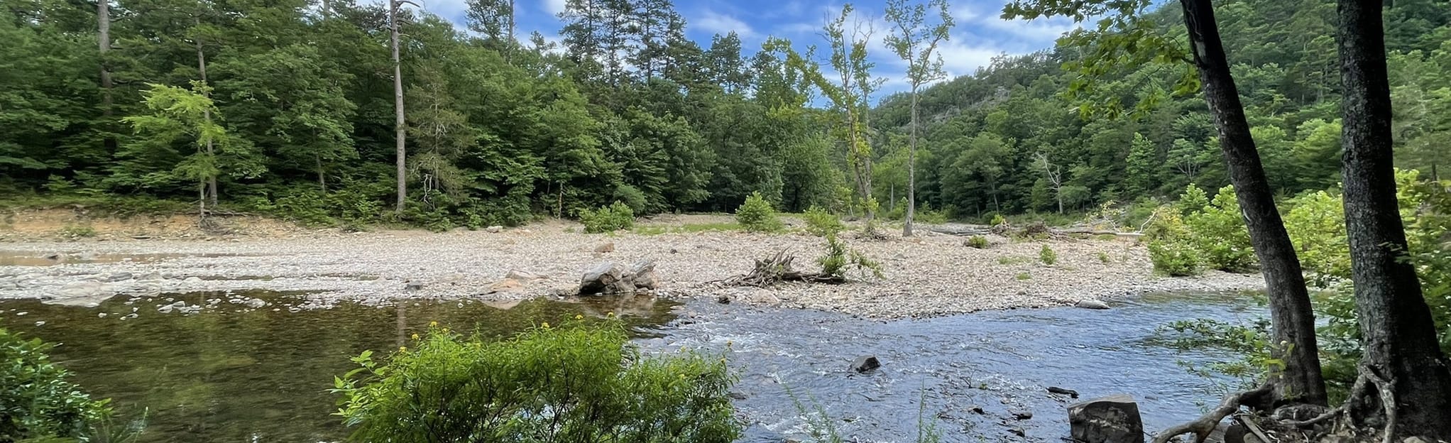 Viles Branch Equestrian Trail, Arkansas 21 Reviews, Map AllTrails