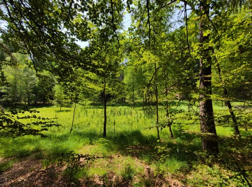 Spazierwanderweg Burg Neudahn-Tour
