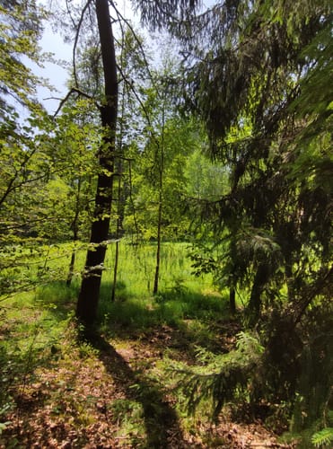 Spazierwanderweg Burg Neudahn-Tour