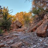 Wonderboom Hiking Trail, Gauteng, South Africa - 124 Reviews, Map ...