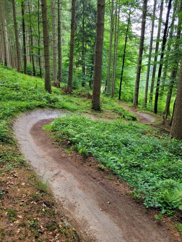 Haseltal-Trail (Flowtrail Bad Orb Nr. 15 )