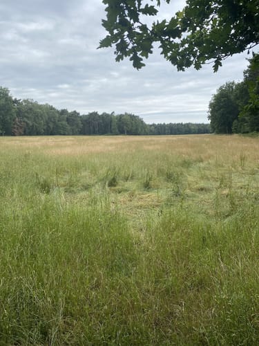 Die Haard: Drei Berge Route