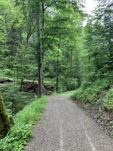 Von Tiefenbach entlang der Breitach