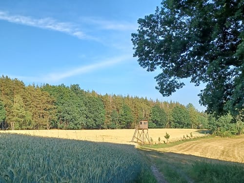 Niederpöllnitz - Birkhausen - Schwarzbach