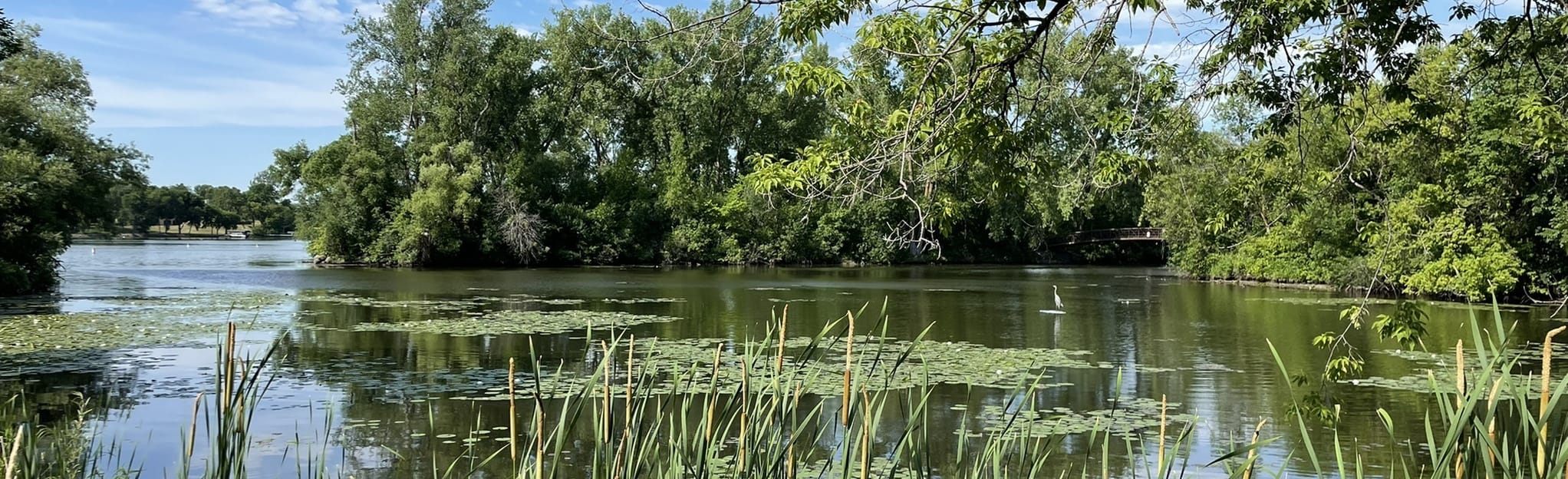 Rice Lake Loop Trail, Minnesota 329 Reviews, Map AllTrails