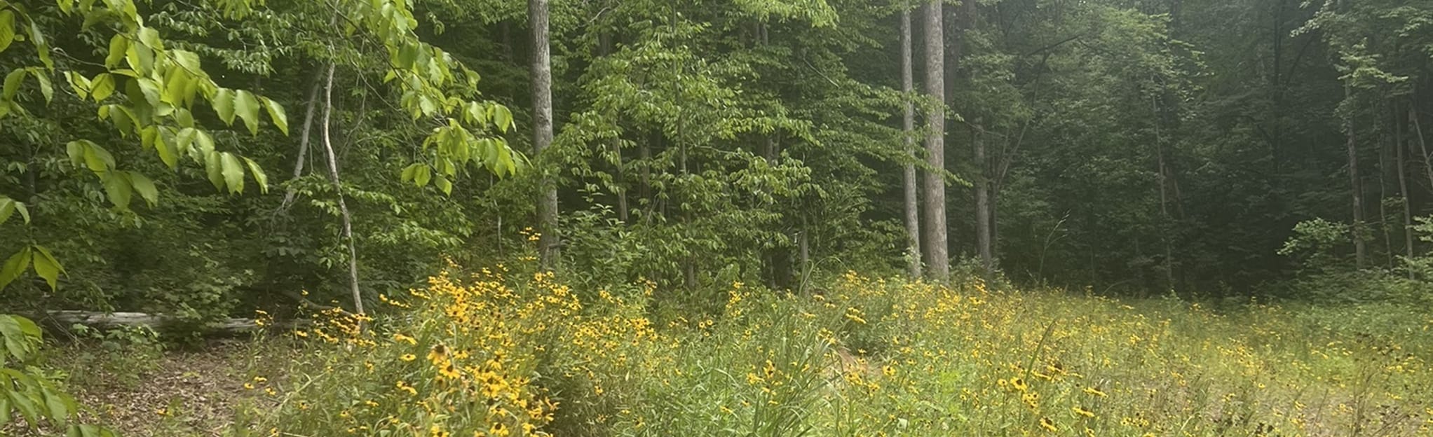 Northmeck Park Trail Map, Guide North Carolina AllTrails