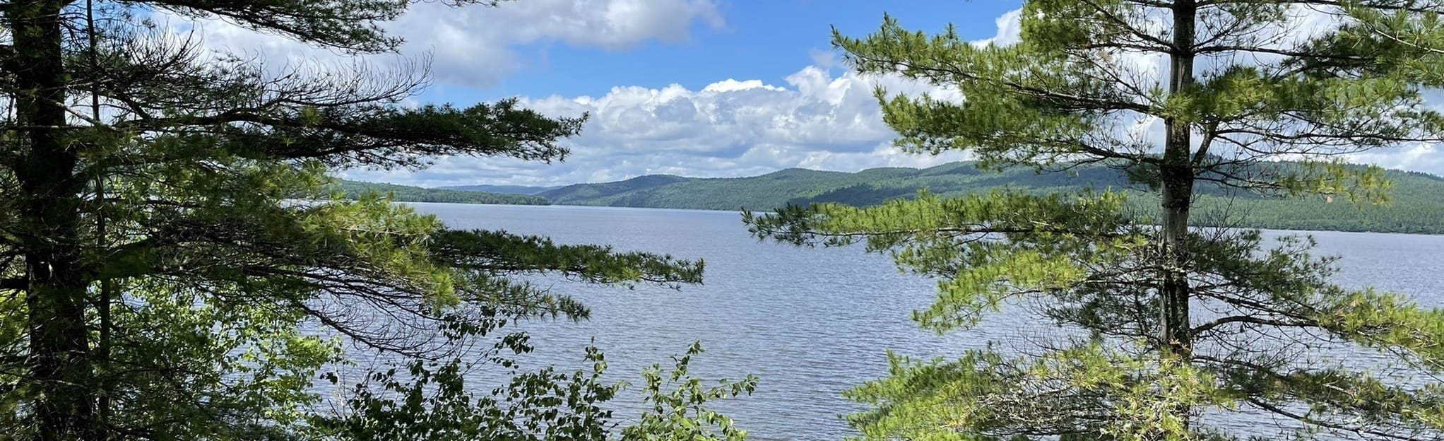 Oak Highland Trail Riverview 49 foto's Ontario, Canada Wandelen