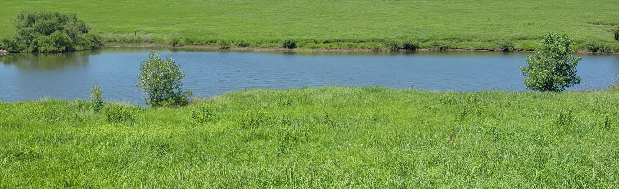 Windmill Pasture Hilltop, Kansas 130 Reviews, Map AllTrails