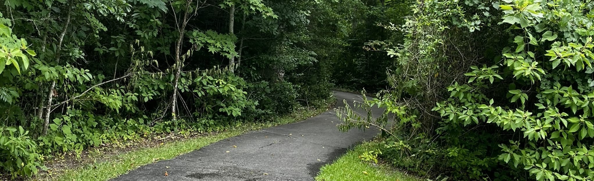 Neuse River Loop Trail 125 Reviews - EyJidWNrZXQiOiJhc3NldHMuYWxsdHJhaWxzLmNvbSIsImtleSI6InVwbG9hZHMvcGhvdG8vaW1hZ2UvNDg4ODg2NDIvMDE2ODNhYThkMGU3MGQwZTlkYjA0MTkwNzg0MDFhNzAuanBnIiwiZWRpdHMiOnsidG9Gb3JtYXQiOiJqcGVnIiwicmVzaXplIjp7IndpZHRoIjoyMDQ0LCJoZWlnaHQiOjYyNCwiZml0IjoiY292ZXIifSwicm90YXRlIjpudWxsLCJqcGVnIjp7InRyZWxsaXNRdWFudGlzYXRpb24iOnRydWUsIm92ZXJzaG9vdERlcmluZ2luZyI6dHJ1ZSwib3B0aW1pc2VTY2FucyI6dHJ1ZSwicXVhbnRpc2F0aW9uVGFibGUiOjN9fX0=
