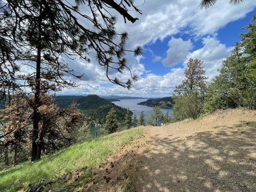 2023 Best 10 Trails and Hikes in Idaho | AllTrails