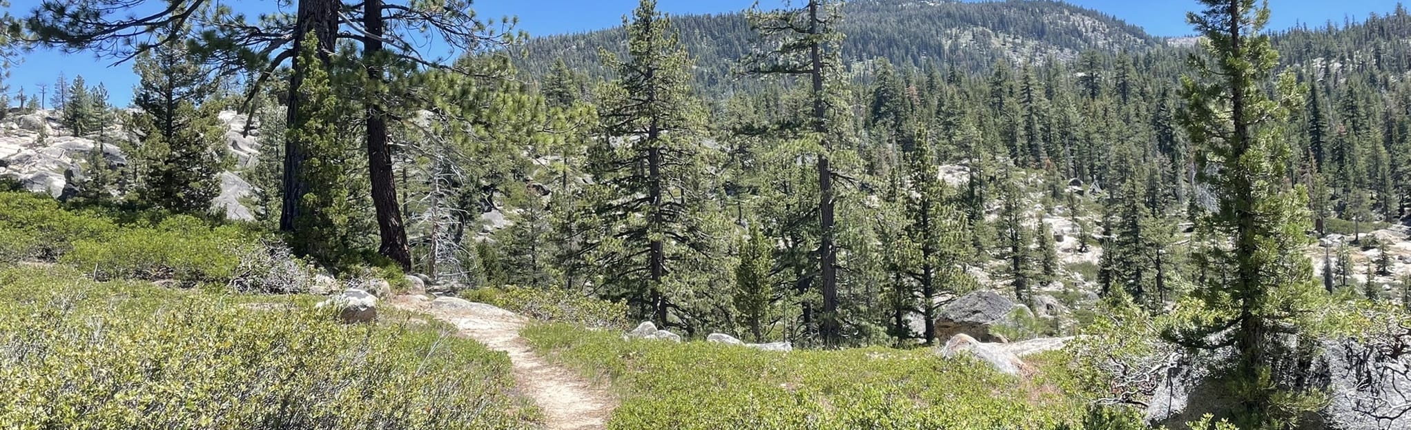 Mokelumne River to Deer Creek via Hermit Valley Trailhead 56 Reviews