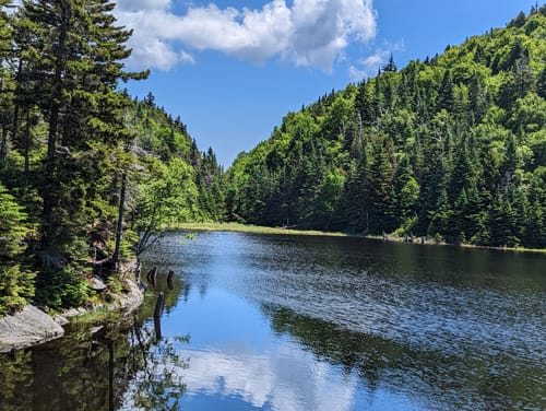 Parc d'environnement naturel de Sutton (PENS) : les 10 meilleures ...