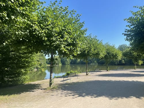 Um den Kahnweiher im Kölner Stadtwald