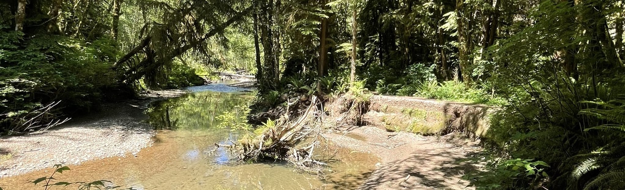 Elk Creek Conservation Trail Washington AllTrails