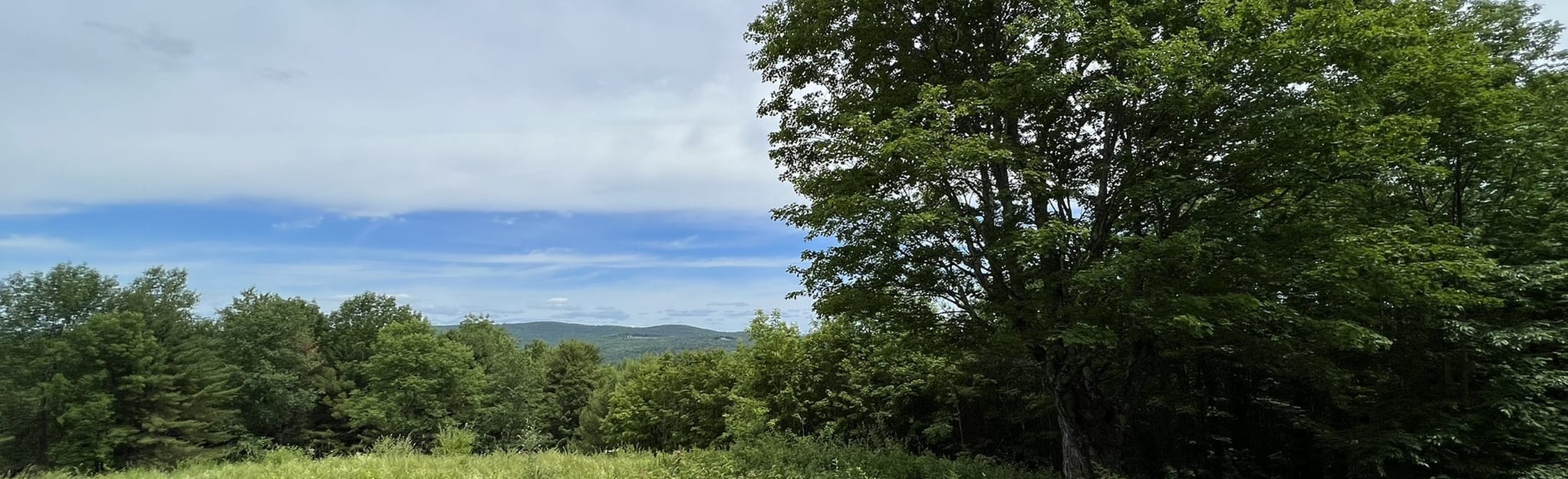 West Hartford to Thistle Hill via Appalachian Trail, Vermont 56 Reviews, Map AllTrails