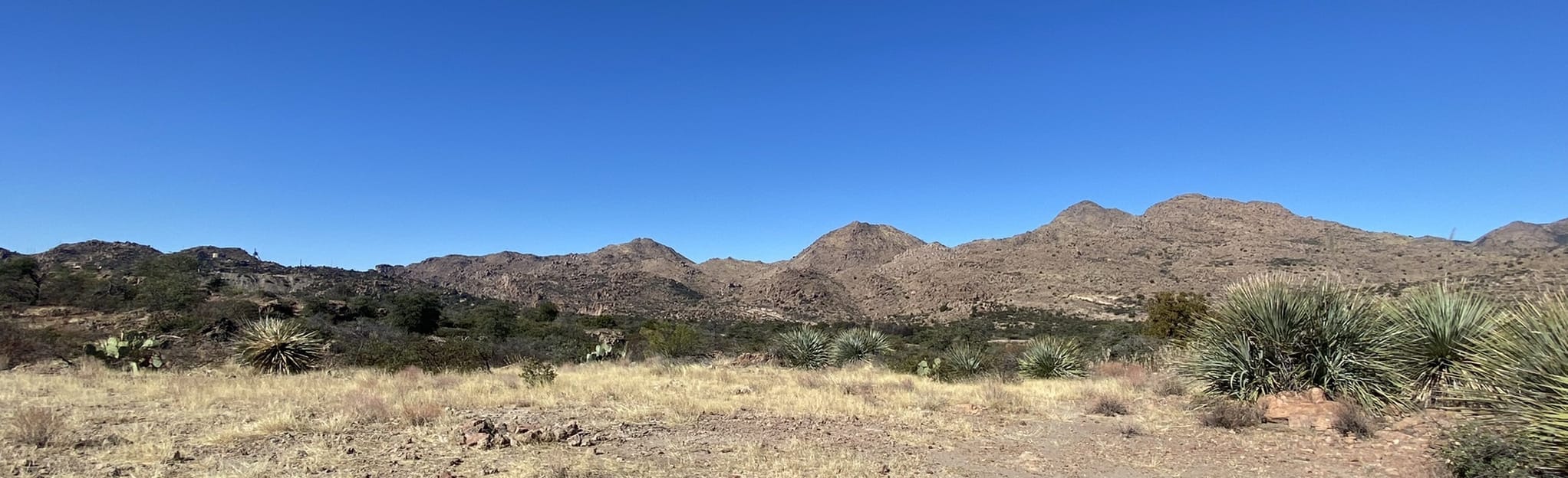 Hackberry Creek OHV Trail, Arizona 43 Reviews, Map AllTrails