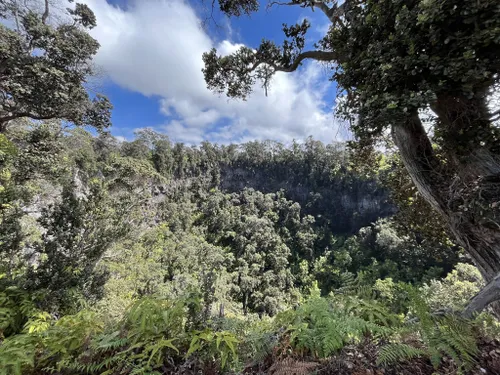 10 Best Bird Watching Trails in Hawai'i Volcanoes National Park | AllTrails