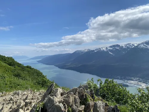 10 Best Trails and Hikes in Juneau | AllTrails
