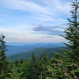 Forney Ridge Trail, North Carolina - 94 Reviews, Map | AllTrails