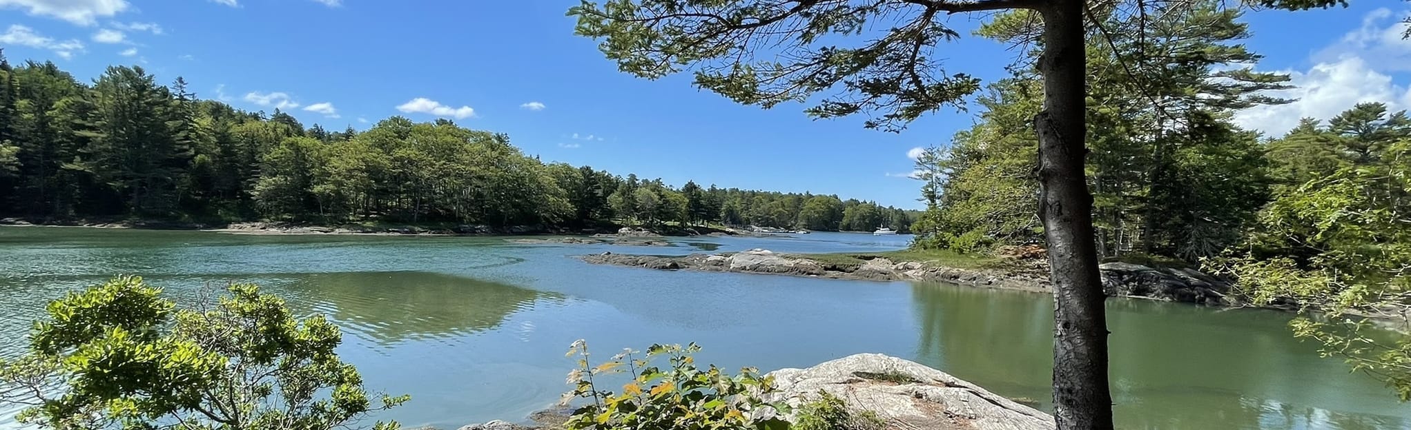 Oak Point Farm Trail 98 Reviews, Map Maine AllTrails