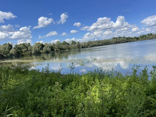 Rund um den Auesee