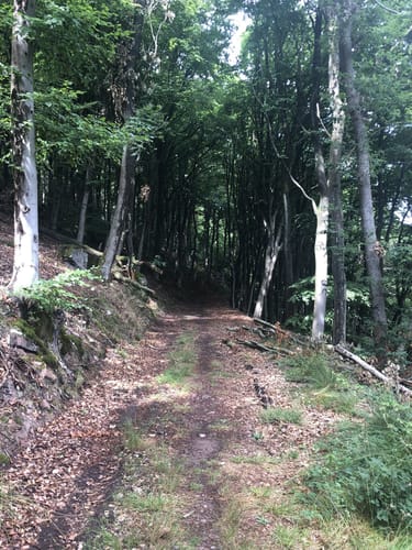 Engelberglauf Halbmarathon