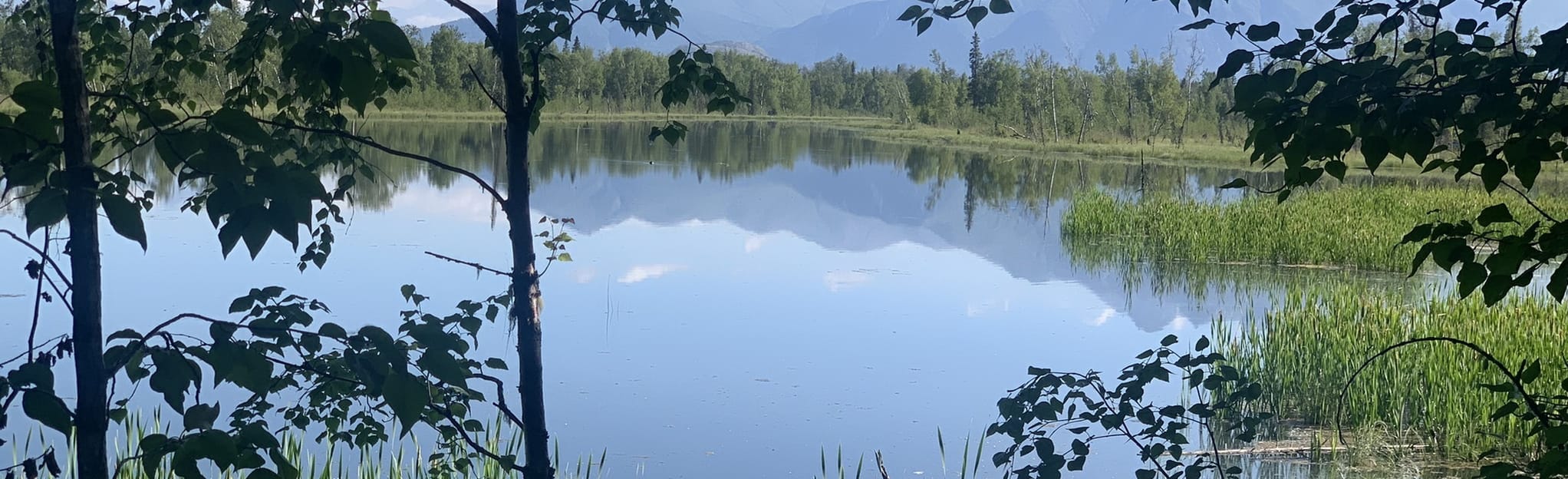 Eklutna Tailrace Trail 32 Reviews Map Alaska AllTrails
