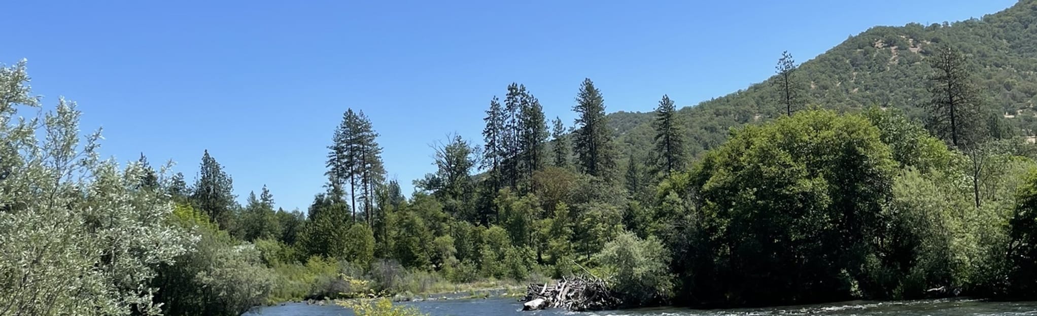 Ti'lomikh Falls via Gold Hill Bicycle Trail, Oregon 237 Reviews, Map