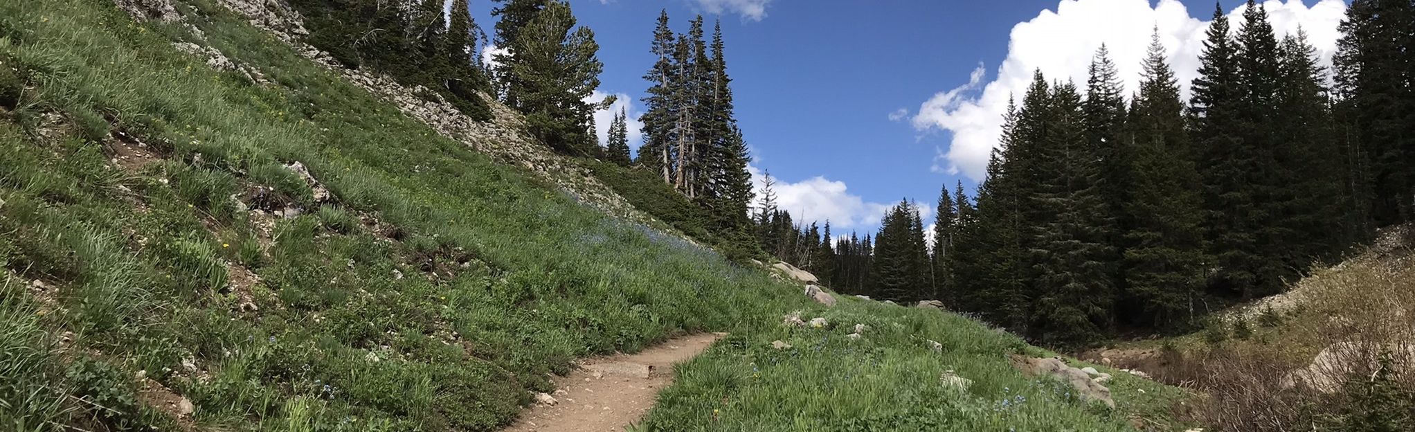 Snake Creek Canyon Road To Albion Basin Campground Reviews Map