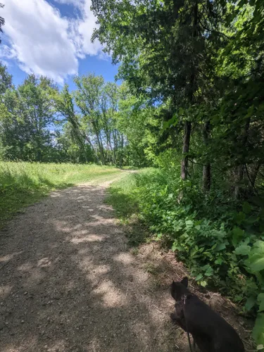 Best Hikes and Trails in Cedar Lake Farm Regional Park | AllTrails