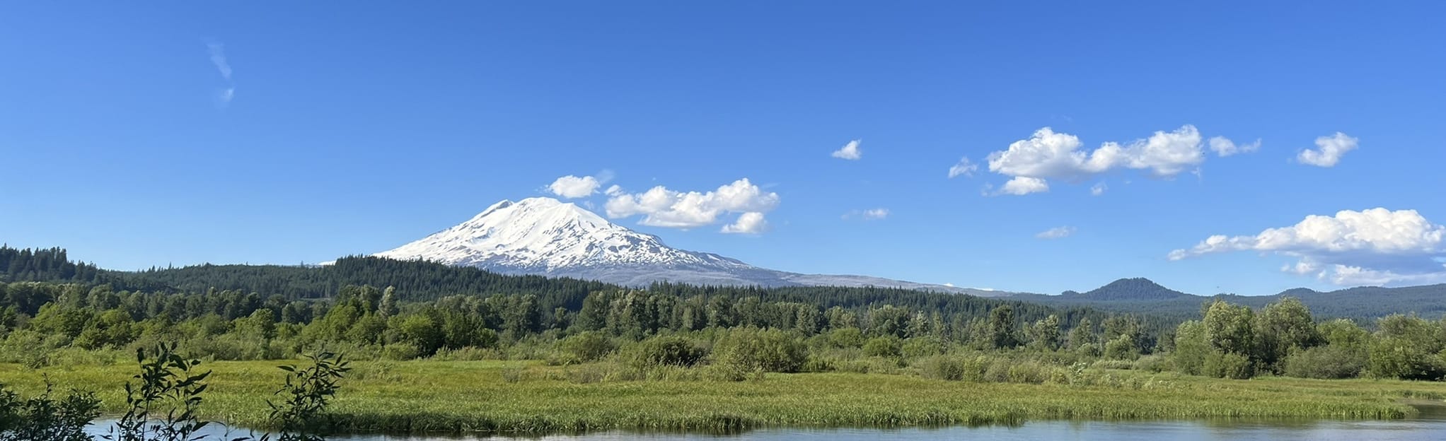 Trout Lake South Shore Trail, Washington 53 Reviews, Map AllTrails