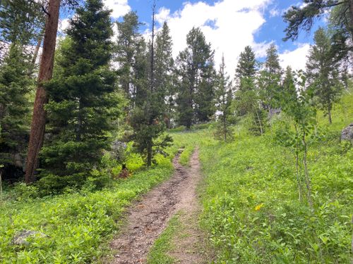 Best 10 Hikes and Trails in Shoshone National Forest | AllTrails