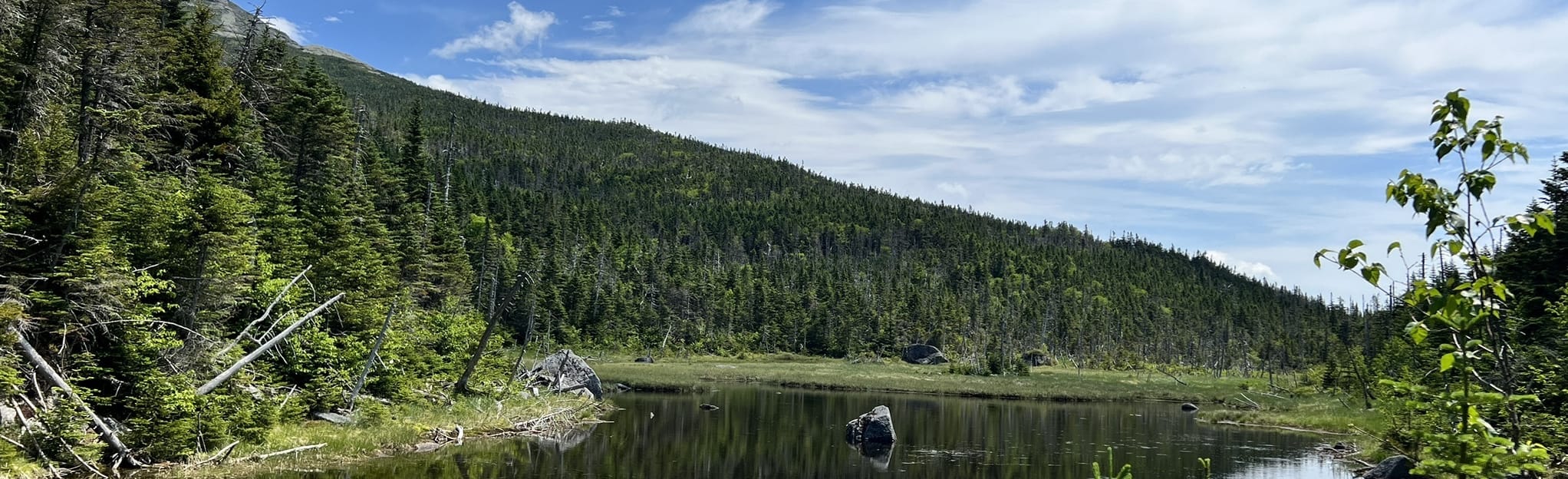 Mount Marcy Trail: 83 Reviews, Map - New York | AllTrails