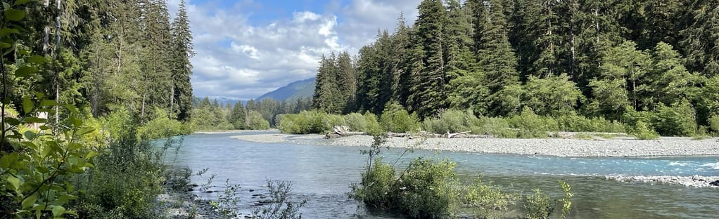 The hoh outlet river trail