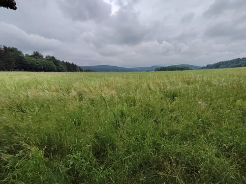 Olbernhau - NSG Rungstock - Kühnhaide