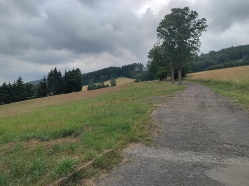 Olbernhau - NSG Rungstock - Kühnhaide
