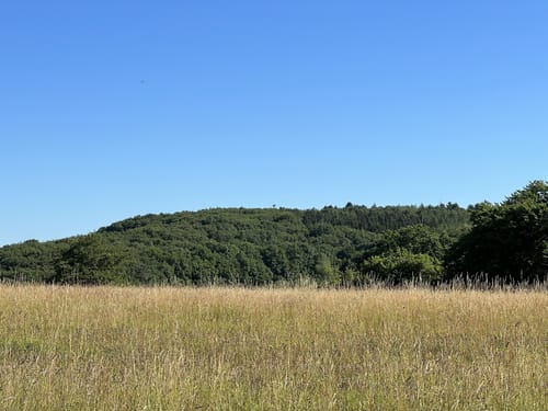 Rundwanderweg B2 (Breitscheid)