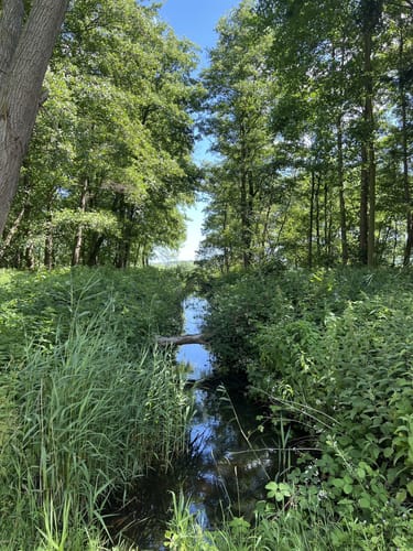 Große Binnensee-Wanderung