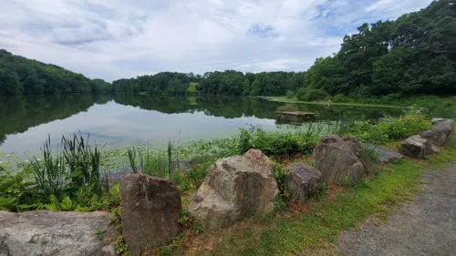 Best Bird Watching Trails in Rockefeller State Park Preserve | AllTrails
