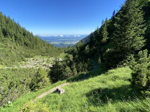 Gipfelwanderung zum Krottenkopf ab Oberau