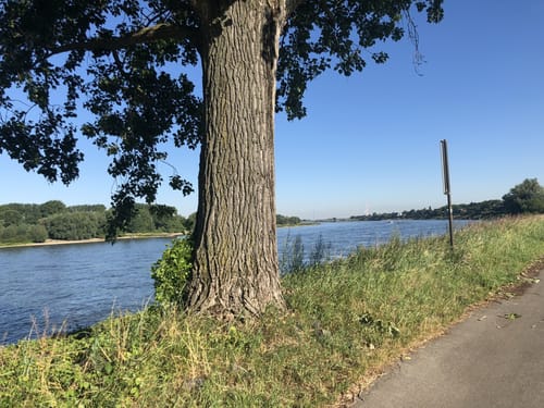 Megamarsch Düsseldorf 2022