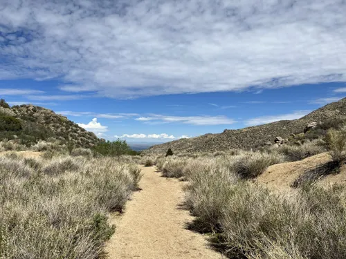 Running Trails near Albuquerque